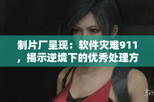 制片廠呈現(xiàn)：軟件災(zāi)難911，揭示逆境下的優(yōu)秀處理方式
