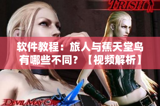 軟件教程：旅人與蕉天堂鳥有哪些不同？【視頻解析】
