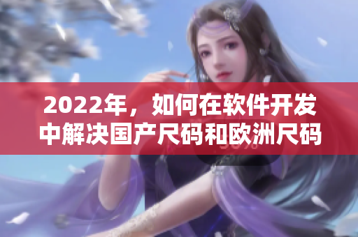 2022年，如何在軟件開(kāi)發(fā)中解決國(guó)產(chǎn)尺碼和歐洲尺碼表的兼容問(wèn)題？