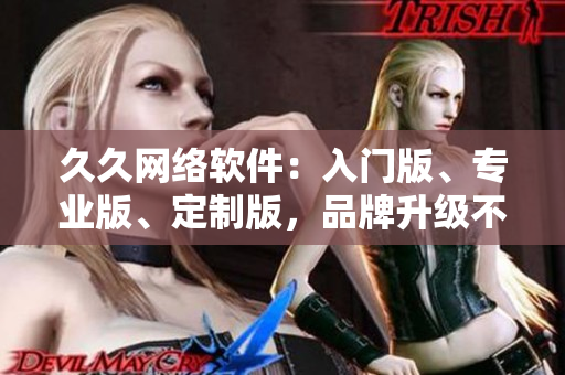 久久網絡軟件：入門版、專業(yè)版、定制版，品牌升級不止三線！