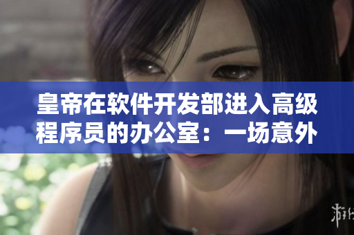 皇帝在軟件開發(fā)部進(jìn)入高級(jí)程序員的辦公室：一場意外的代碼審查