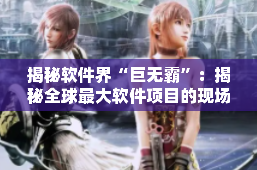 揭秘軟件界“巨無霸”：揭秘全球最大軟件項(xiàng)目的現(xiàn)場圖解閃亮登場