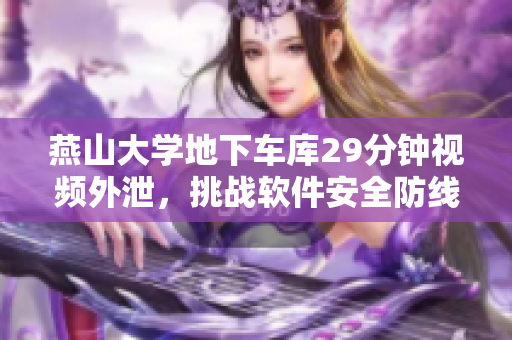 燕山大學(xué)地下車庫29分鐘視頻外泄，挑戰(zhàn)軟件安全防線