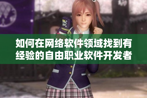 如何在網絡軟件領域找到有經驗的自由職業(yè)軟件開發(fā)者？