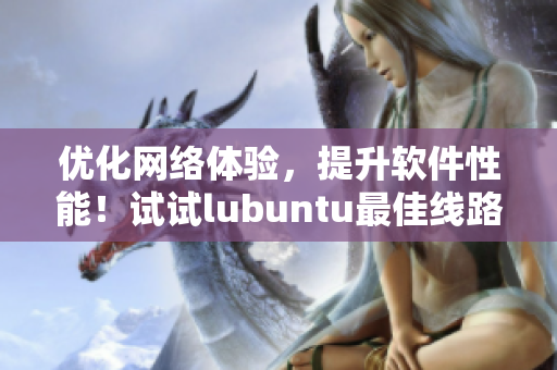 優(yōu)化網(wǎng)絡(luò)體驗，提升軟件性能！試試lubuntu最佳線路檢測3！