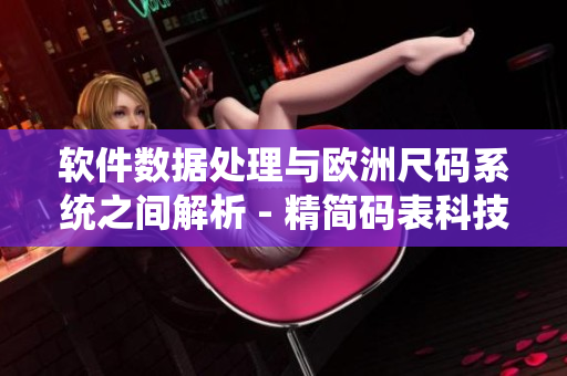 軟件數(shù)據(jù)處理與歐洲尺碼系統(tǒng)之間解析 - 精簡碼表科技對比