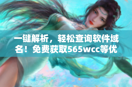 一鍵解析，輕松查詢軟件域名！免費(fèi)獲取565wcc等優(yōu)質(zhì)域名信息