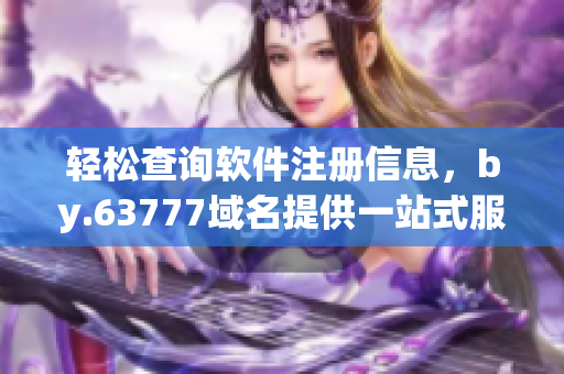 輕松查詢軟件注冊(cè)信息，by.63777域名提供一站式服務(wù)