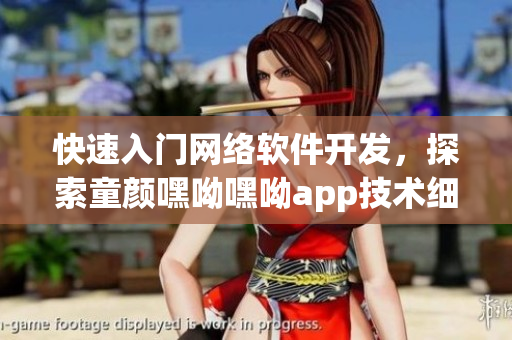 快速入門網(wǎng)絡(luò)軟件開發(fā)，探索童顏嘿呦嘿呦app技術(shù)細(xì)節(jié)與推廣策略