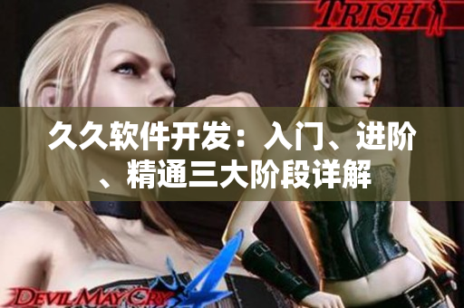 久久軟件開發(fā)：入門、進(jìn)階、精通三大階段詳解