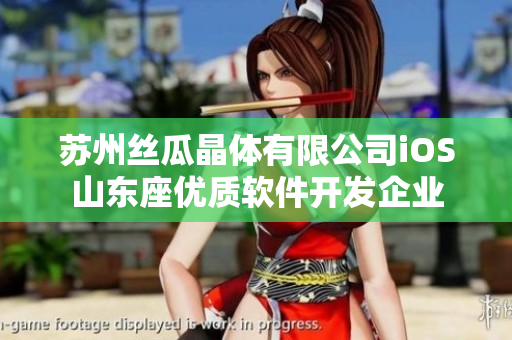 蘇州絲瓜晶體有限公司iOS山東座優(yōu)質(zhì)軟件開發(fā)企業(yè)
