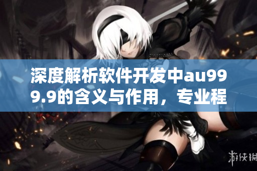 深度解析軟件開(kāi)發(fā)中au999.9的含義與作用，專業(yè)程序員必看！
