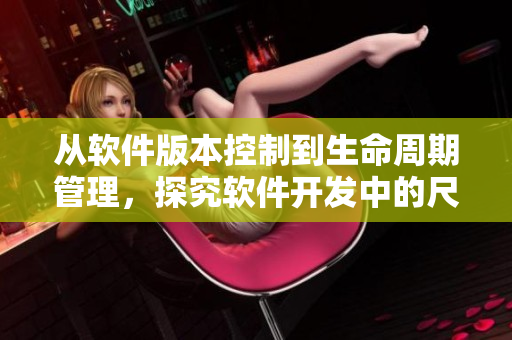 從軟件版本控制到生命周期管理，探究軟件開發(fā)中的尺寸標(biāo)準(zhǔn)化