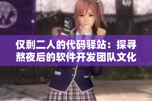 僅剩二人的代碼驛站：探尋熬夜后的軟件開發(fā)團(tuán)隊文化