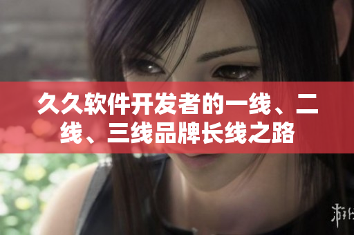 久久軟件開發(fā)者的一線、二線、三線品牌長線之路
