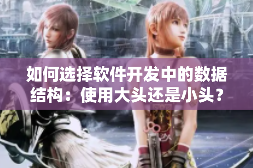如何選擇軟件開發(fā)中的數(shù)據(jù)結(jié)構(gòu)：使用大頭還是小頭？