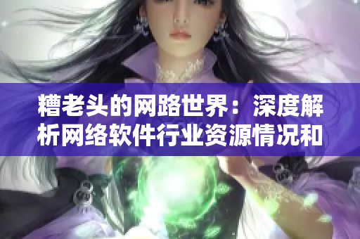 糟老頭的網(wǎng)路世界：深度解析網(wǎng)絡軟件行業(yè)資源情況和未來趨勢
