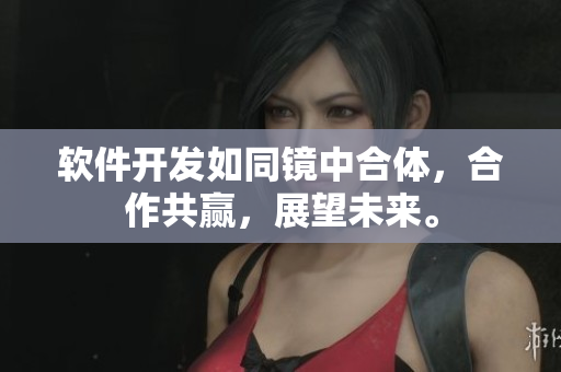 軟件開發(fā)如同鏡中合體，合作共贏，展望未來。
