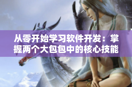 從零開始學(xué)習(xí)軟件開發(fā)：掌握兩個大包包中的核心技能