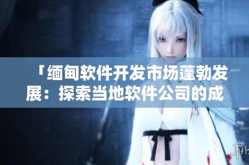 「緬甸軟件開發(fā)市場蓬勃發(fā)展：探索當地軟件公司的成功實踐」