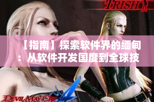 【指南】探索軟件界的緬甸：從軟件開發(fā)國度到全球技術創(chuàng)新引擎！