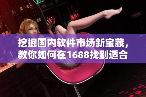 挖掘國內(nèi)軟件市場新寶藏，教你如何在1688找到適合你的軟件產(chǎn)品