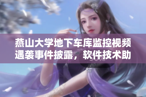 燕山大學地下車庫監(jiān)控視頻遇襲事件披露，軟件技術助力追蹤突發(fā)狀況