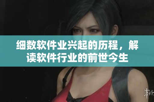 細(xì)數(shù)軟件業(yè)興起的歷程，解讀軟件行業(yè)的前世今生