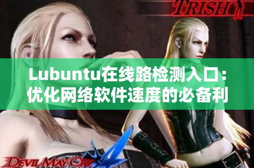 Lubuntu在線路檢測(cè)入口：優(yōu)化網(wǎng)絡(luò)軟件速度的必備利器