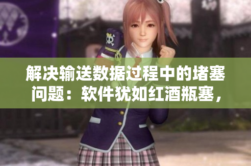 解決輸送數(shù)據(jù)過(guò)程中的堵塞問(wèn)題：軟件猶如紅酒瓶塞，保護(hù)信息不會(huì)流失