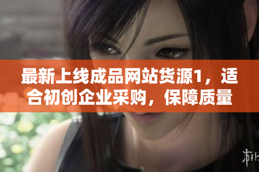 最新上線成品網(wǎng)站貨源1，適合初創(chuàng)企業(yè)采購，保障質(zhì)量，價格超實惠！