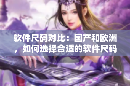軟件尺碼對比：國產(chǎn)和歐洲，如何選擇合適的軟件尺碼？