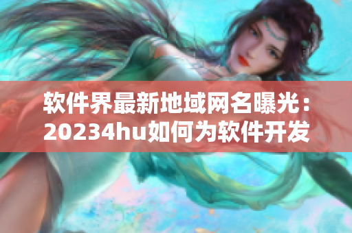 軟件界最新地域網(wǎng)名曝光：20234hu如何為軟件開發(fā)者帶來全新體驗？
