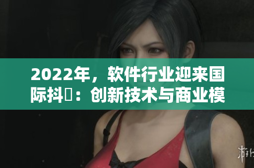2022年，軟件行業(yè)迎來國際抖抈：創(chuàng)新技術(shù)與商業(yè)模式的拓展與碰撞