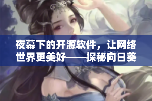 夜幕下的開源軟件，讓網(wǎng)絡(luò)世界更美好——探秘向日葵遠(yuǎn)程桌面分享工具