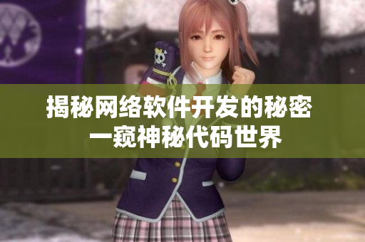 揭秘網(wǎng)絡軟件開發(fā)的秘密  一窺神秘代碼世界
