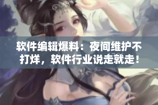 軟件編輯爆料：夜間維護(hù)不打烊，軟件行業(yè)說走就走！