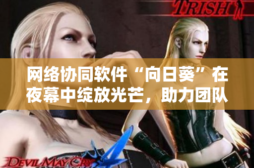 網(wǎng)絡(luò)協(xié)同軟件“向日葵”在夜幕中綻放光芒，助力團(tuán)隊(duì)高效協(xié)作