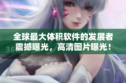 全球最大體積軟件的發(fā)展者震撼曝光，高清圖片曝光！