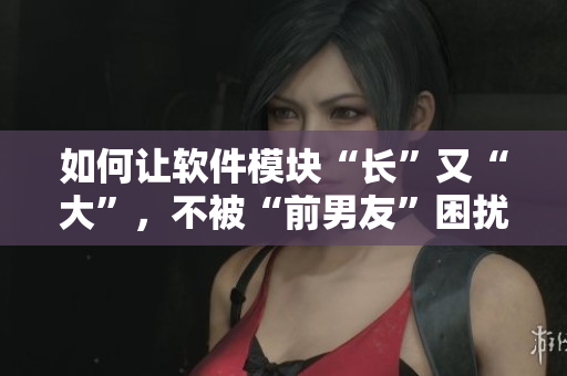 如何讓軟件模塊“長”又“大”，不被“前男友”困擾？