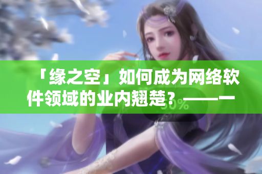 「緣之空」如何成為網(wǎng)絡(luò)軟件領(lǐng)域的業(yè)內(nèi)翹楚？——一個軟件開發(fā)者的故事
