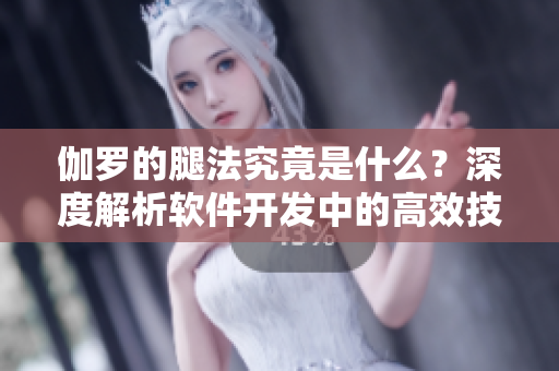 伽羅的腿法究竟是什么？深度解析軟件開發(fā)中的高效技巧