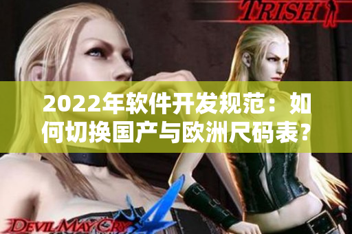 2022年軟件開發(fā)規(guī)范：如何切換國產(chǎn)與歐洲尺碼表？