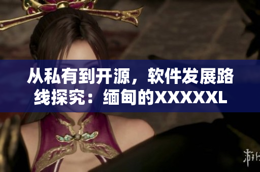 從私有到開源，軟件發(fā)展路線探究：緬甸的XXXXXL