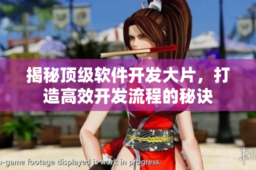 揭秘頂級(jí)軟件開(kāi)發(fā)大片，打造高效開(kāi)發(fā)流程的秘訣