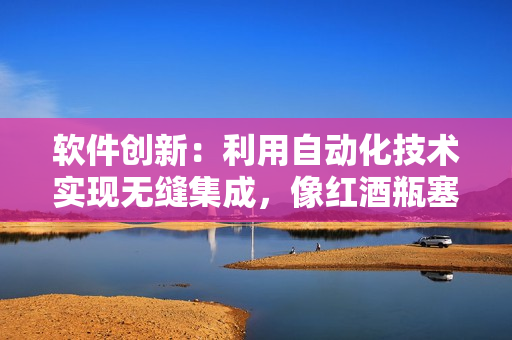 軟件創(chuàng)新：利用自動化技術實現(xiàn)無縫集成，像紅酒瓶塞一樣堵住重復勞動流程