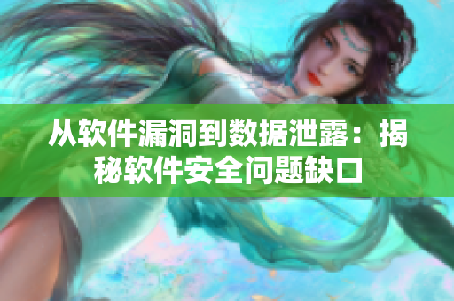 從軟件漏洞到數(shù)據(jù)泄露：揭秘軟件安全問題缺口