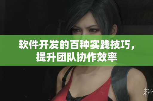 軟件開發(fā)的百種實(shí)踐技巧，提升團(tuán)隊(duì)協(xié)作效率