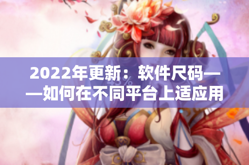 2022年更新：軟件尺碼——如何在不同平臺(tái)上適應(yīng)用戶需求？