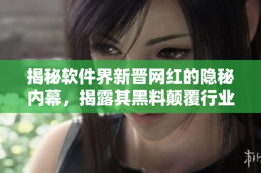 揭秘軟件界新晉網(wǎng)紅的隱秘內(nèi)幕，揭露其黑料顛覆行業(yè)自身形象